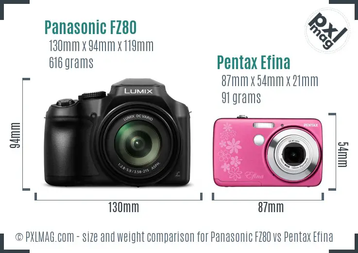 Panasonic FZ80 vs Pentax Efina size comparison