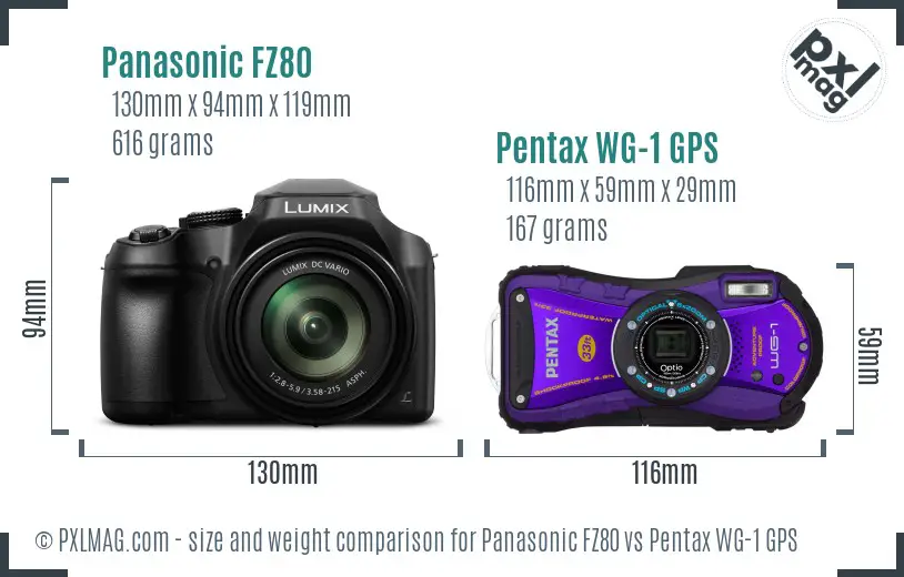 Panasonic FZ80 vs Pentax WG-1 GPS size comparison