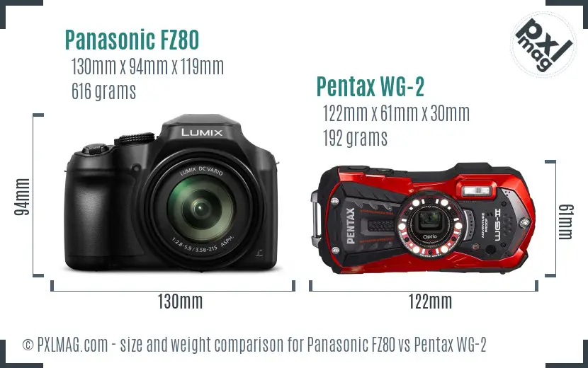 Panasonic FZ80 vs Pentax WG-2 size comparison