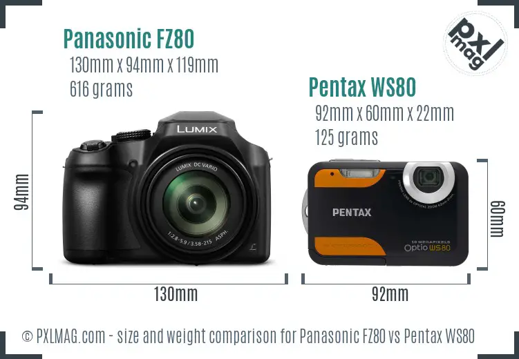 Panasonic FZ80 vs Pentax WS80 size comparison