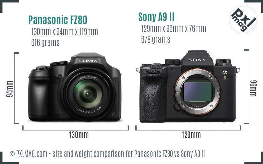 Panasonic FZ80 vs Sony A9 II size comparison Panasonic FZ80 vs Sony A9 II size comparison