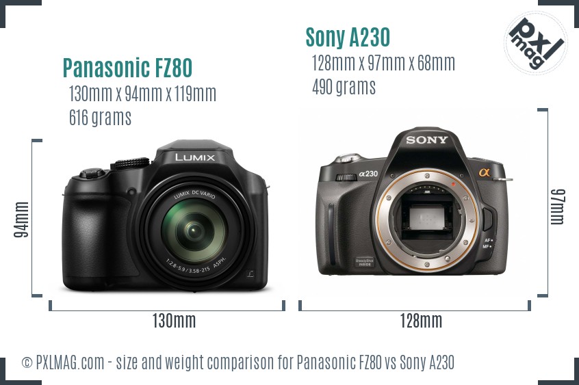 Panasonic FZ80 vs Sony A230 size comparison