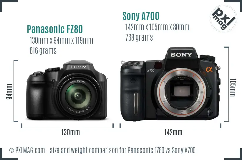 Panasonic FZ80 vs Sony A700 size comparison