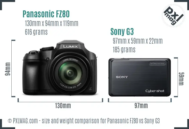 Panasonic FZ80 vs Sony G3 size comparison