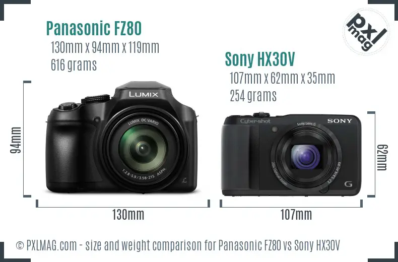 Panasonic FZ80 vs Sony HX30V size comparison