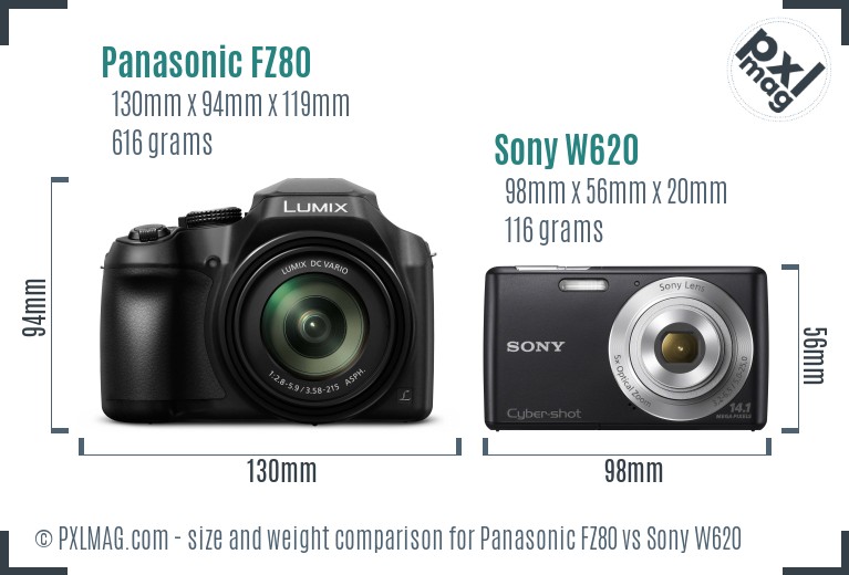 Panasonic FZ80 vs Sony W620 size comparison