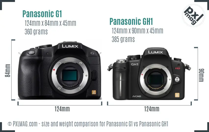 Panasonic G1 vs Panasonic GH1 size comparison
