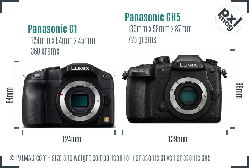 Panasonic G1 vs Panasonic GH5 size comparison