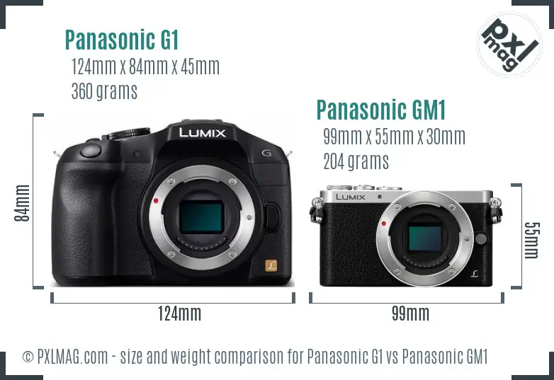 Panasonic G1 vs Panasonic GM1 size comparison