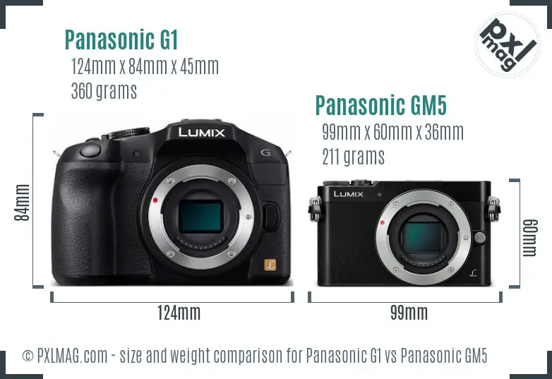 Panasonic G1 vs Panasonic GM5 size comparison