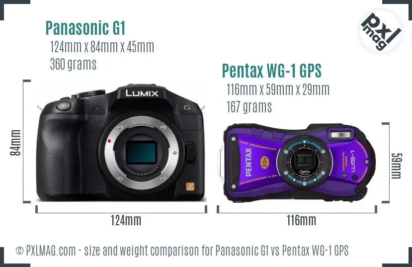 Panasonic G1 vs Pentax WG-1 GPS size comparison