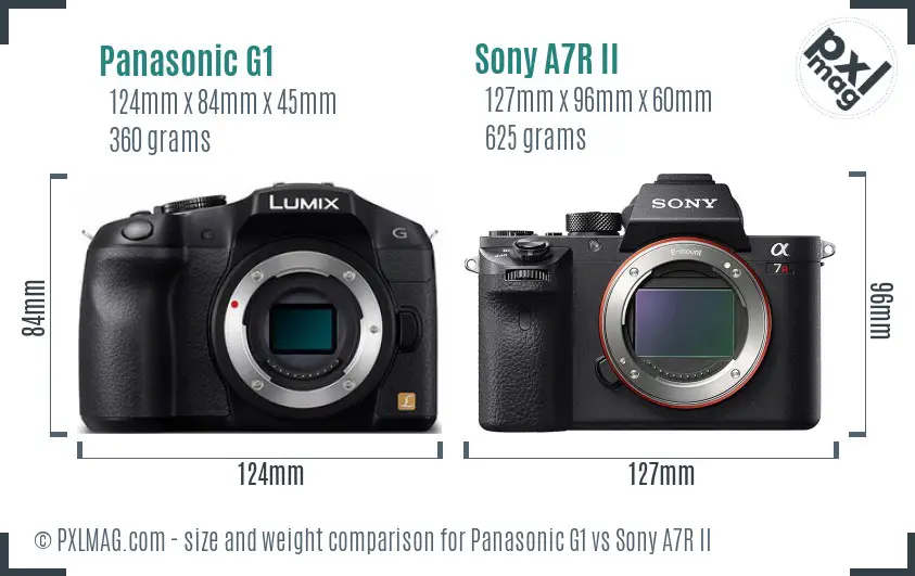 Panasonic G1 vs Sony A7R II size comparison
