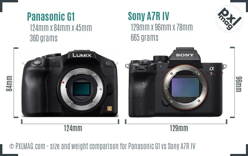 Panasonic G1 vs Sony A7R IV size comparison