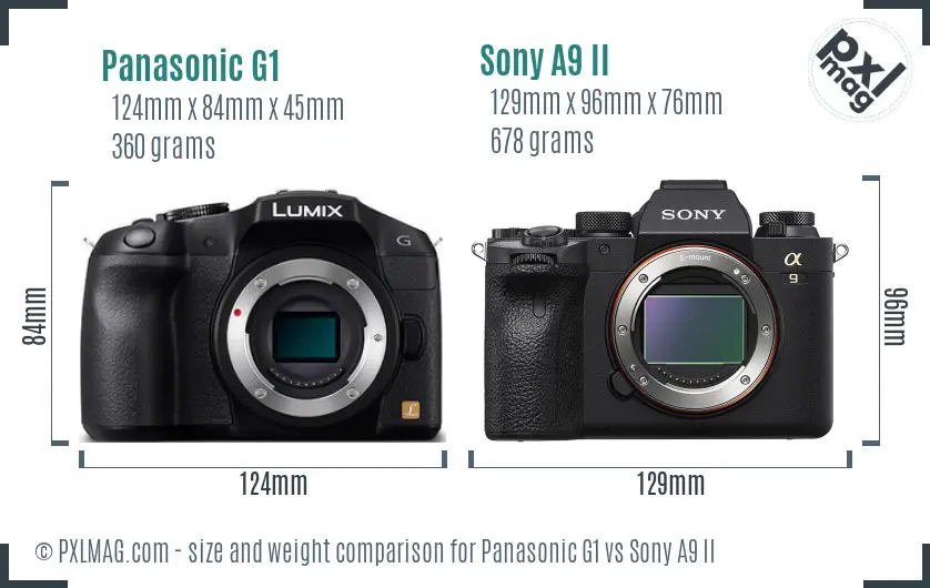 Panasonic G1 vs Sony A9 II size comparison