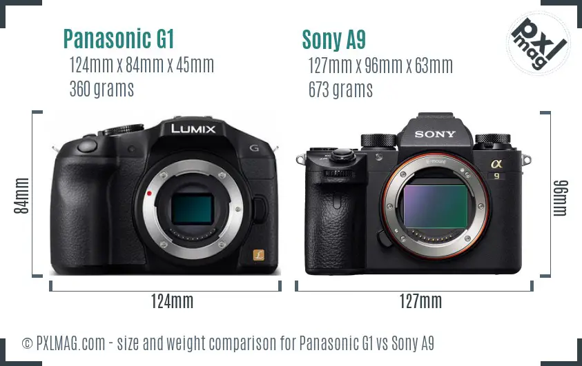 Panasonic G1 vs Sony A9 size comparison
