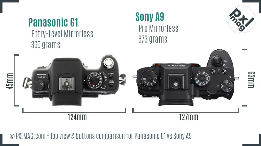 Panasonic G1 vs Sony A9 top view buttons comparison