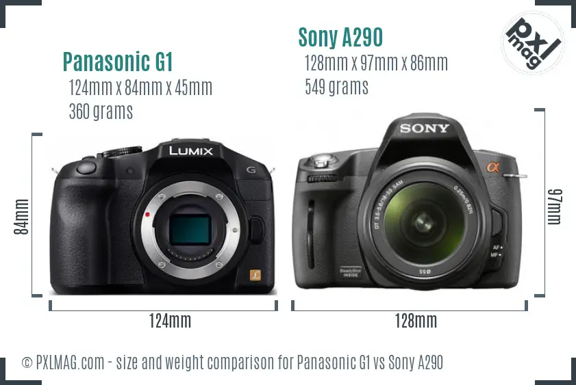 Panasonic G1 vs Sony A290 size comparison