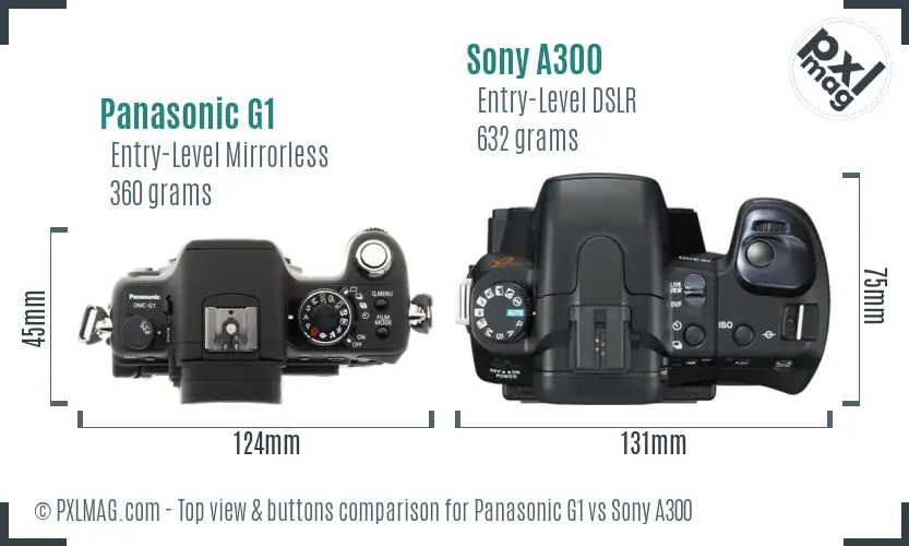 Panasonic G1 vs Sony A300 top view buttons comparison