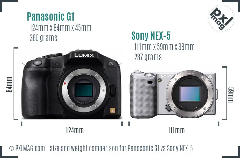 Panasonic G1 vs Sony NEX-5 size comparison