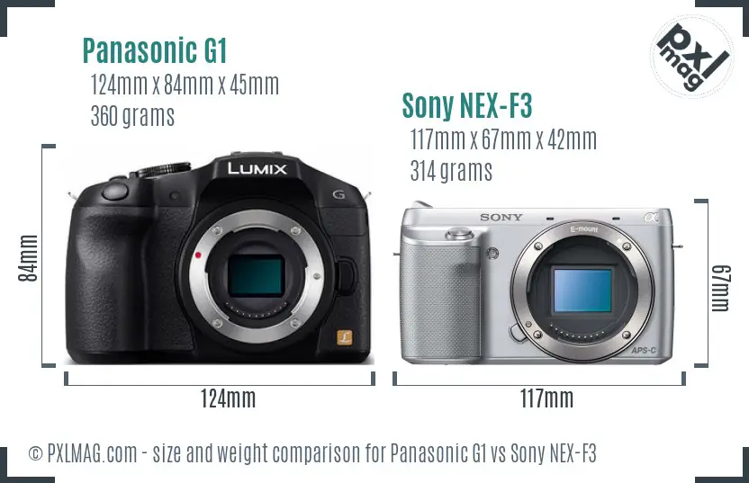 Panasonic G1 vs Sony NEX-F3 size comparison
