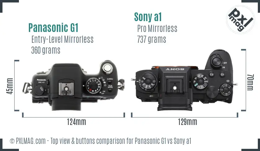 Panasonic G1 vs Sony a1 top view buttons comparison