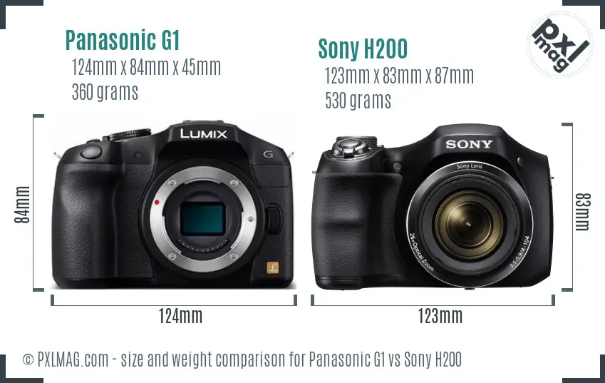 Panasonic G1 vs Sony H200 size comparison