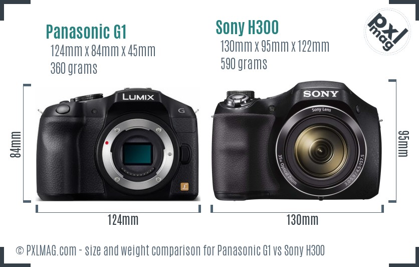 Panasonic G1 vs Sony H300 size comparison