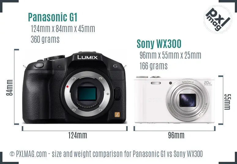 Panasonic G1 vs Sony WX300 size comparison