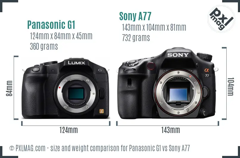 Panasonic G1 vs Sony A77 size comparison