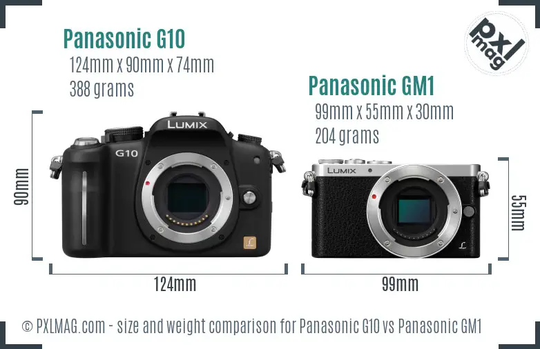 Panasonic G10 vs Panasonic GM1 size comparison