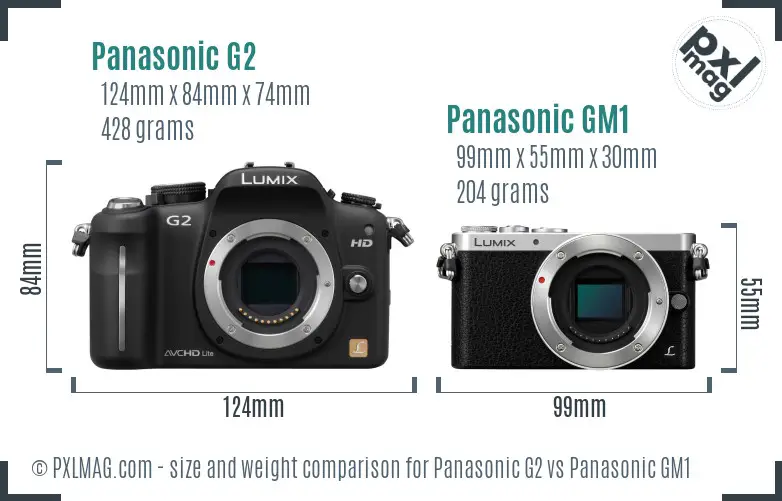 Panasonic G2 vs Panasonic GM1 size comparison