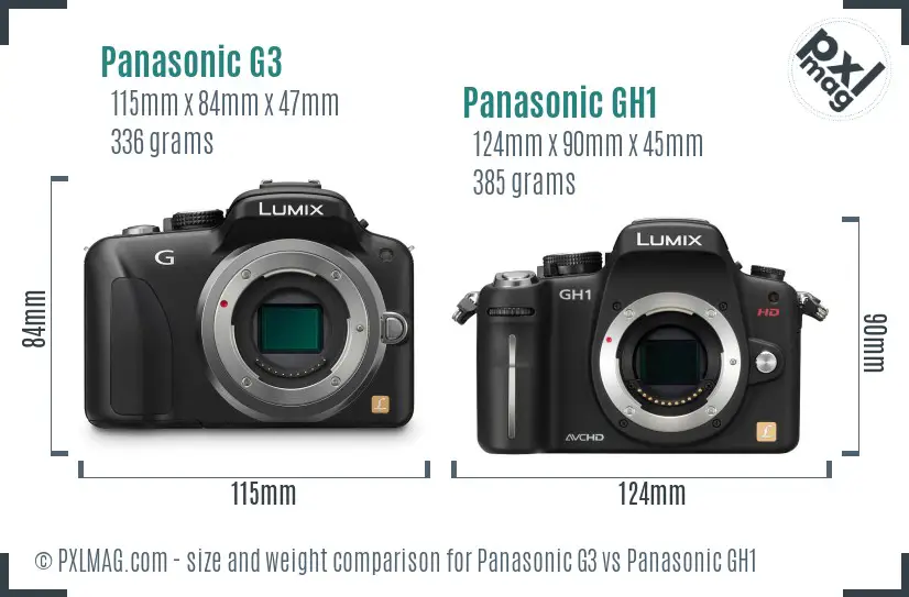 Panasonic G3 vs Panasonic GH1 size comparison