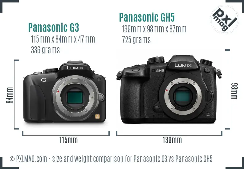 Panasonic G3 vs Panasonic GH5 size comparison