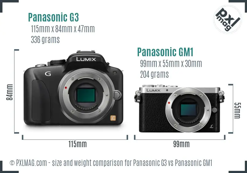 Panasonic G3 vs Panasonic GM1 size comparison