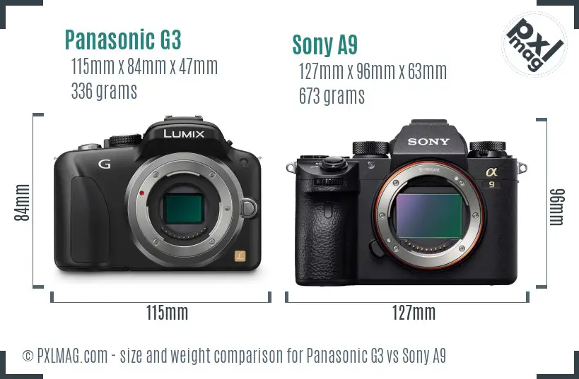 Panasonic G3 vs Sony A9 size comparison