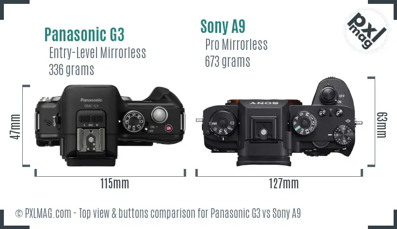 Panasonic G3 vs Sony A9 top view buttons comparison