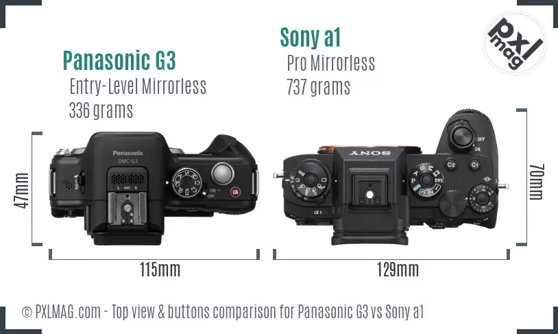 Panasonic G3 vs Sony a1 top view buttons comparison