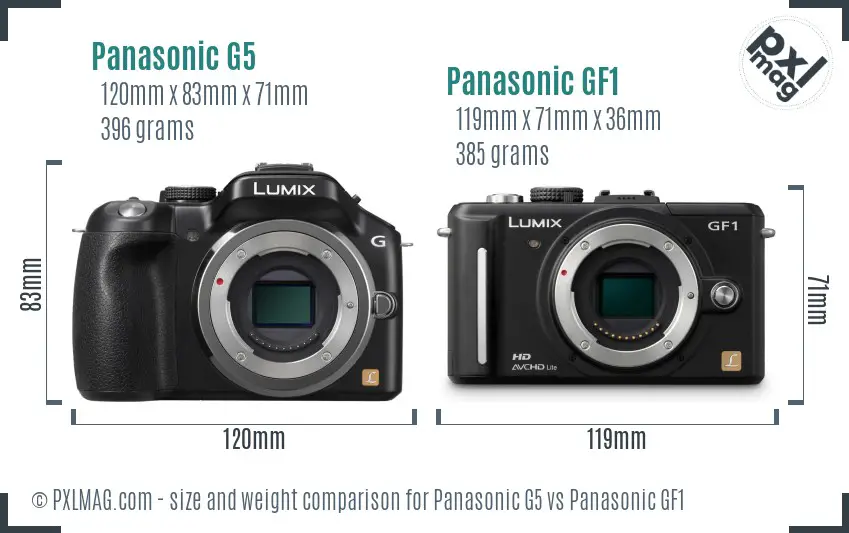 Panasonic G5 vs Panasonic GF1 size comparison