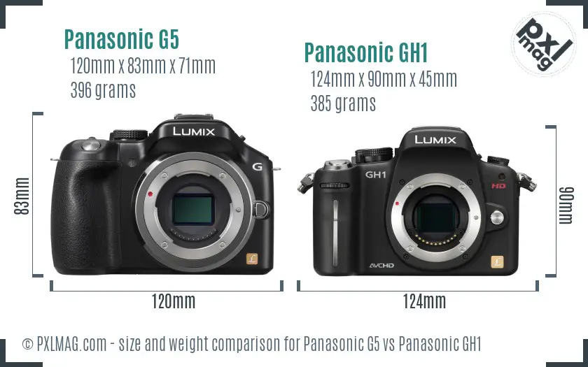 Panasonic G5 vs Panasonic GH1 size comparison