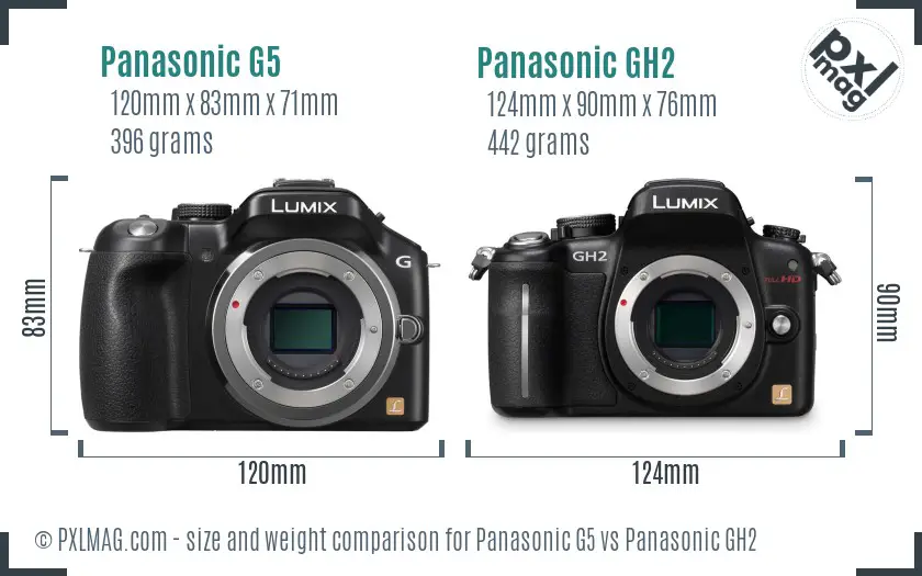 Panasonic G5 vs Panasonic GH2 size comparison