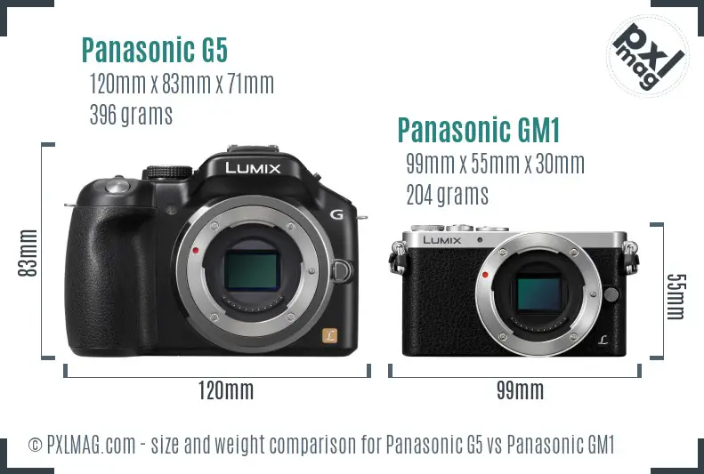 Panasonic G5 vs Panasonic GM1 size comparison