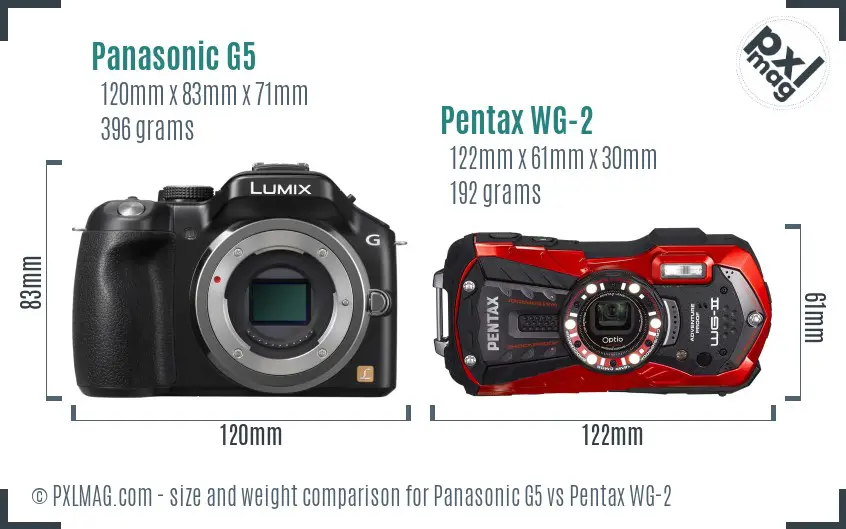 Panasonic G5 vs Pentax WG-2 size comparison