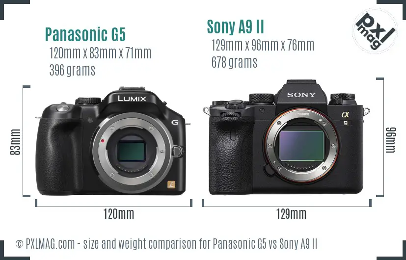 Panasonic G5 vs Sony A9 II size comparison