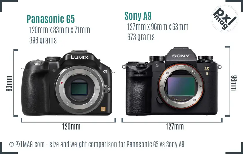 Panasonic G5 vs Sony A9 size comparison