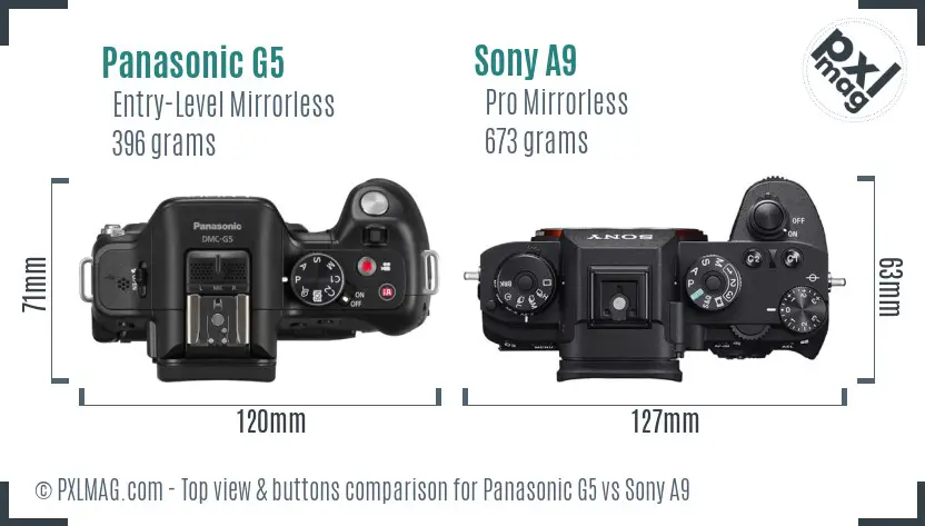 Panasonic G5 vs Sony A9 top view buttons comparison
