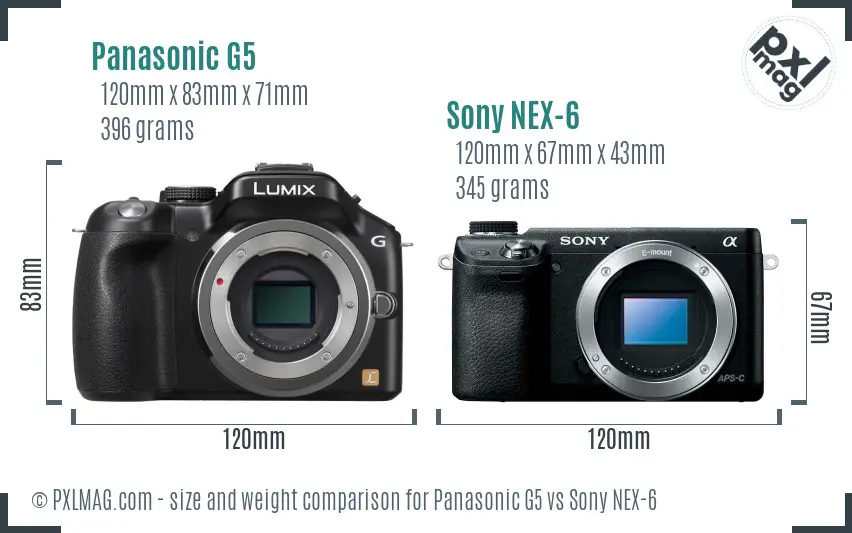 Panasonic G5 vs Sony NEX-6 size comparison