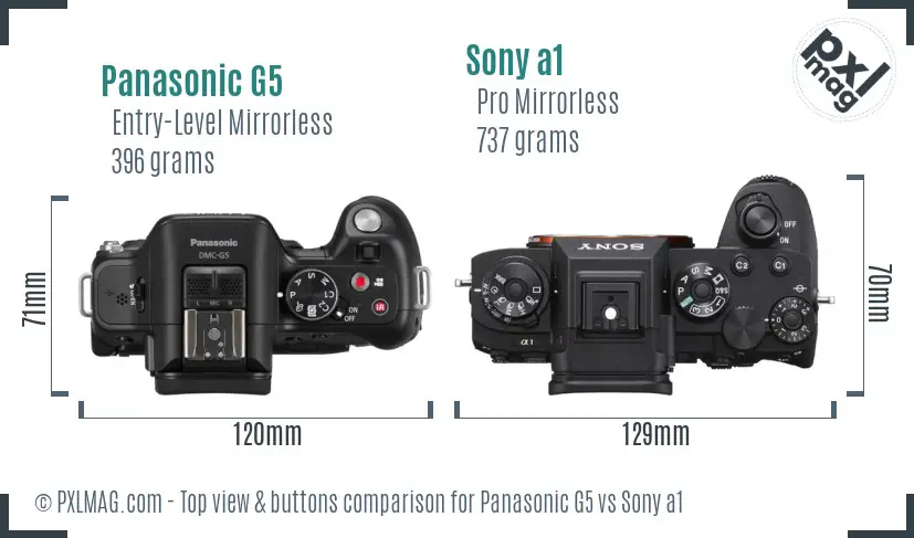Panasonic G5 vs Sony a1 top view buttons comparison