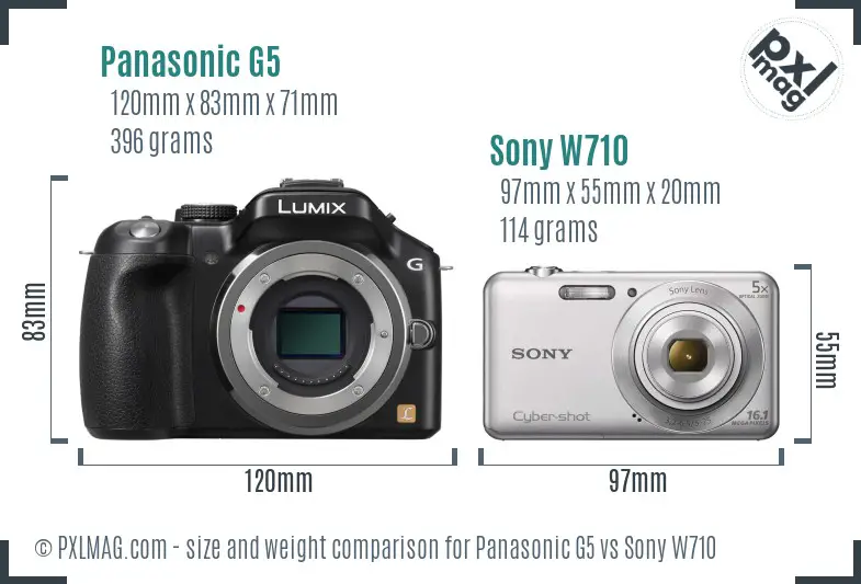 Panasonic G5 vs Sony W710 size comparison