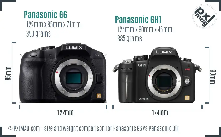 Panasonic G6 vs Panasonic GH1 size comparison