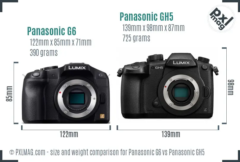 Panasonic G6 vs Panasonic GH5 size comparison